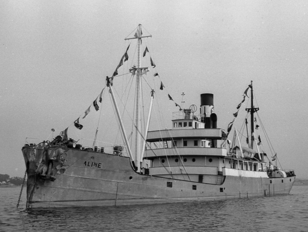 Aline by T. Diedrich Aline by T. Diedrich